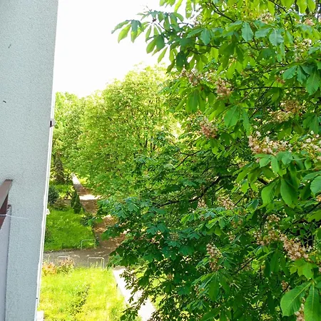 Komfortowy 3 Pokojowy Z Balkonem *