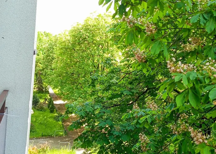 Komfortowy 3 Pokojowy Z Balkonem *